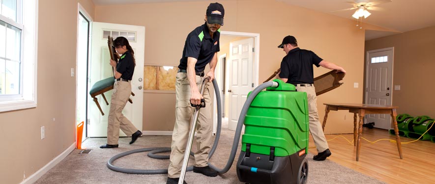 Woodland , CA cleaning services